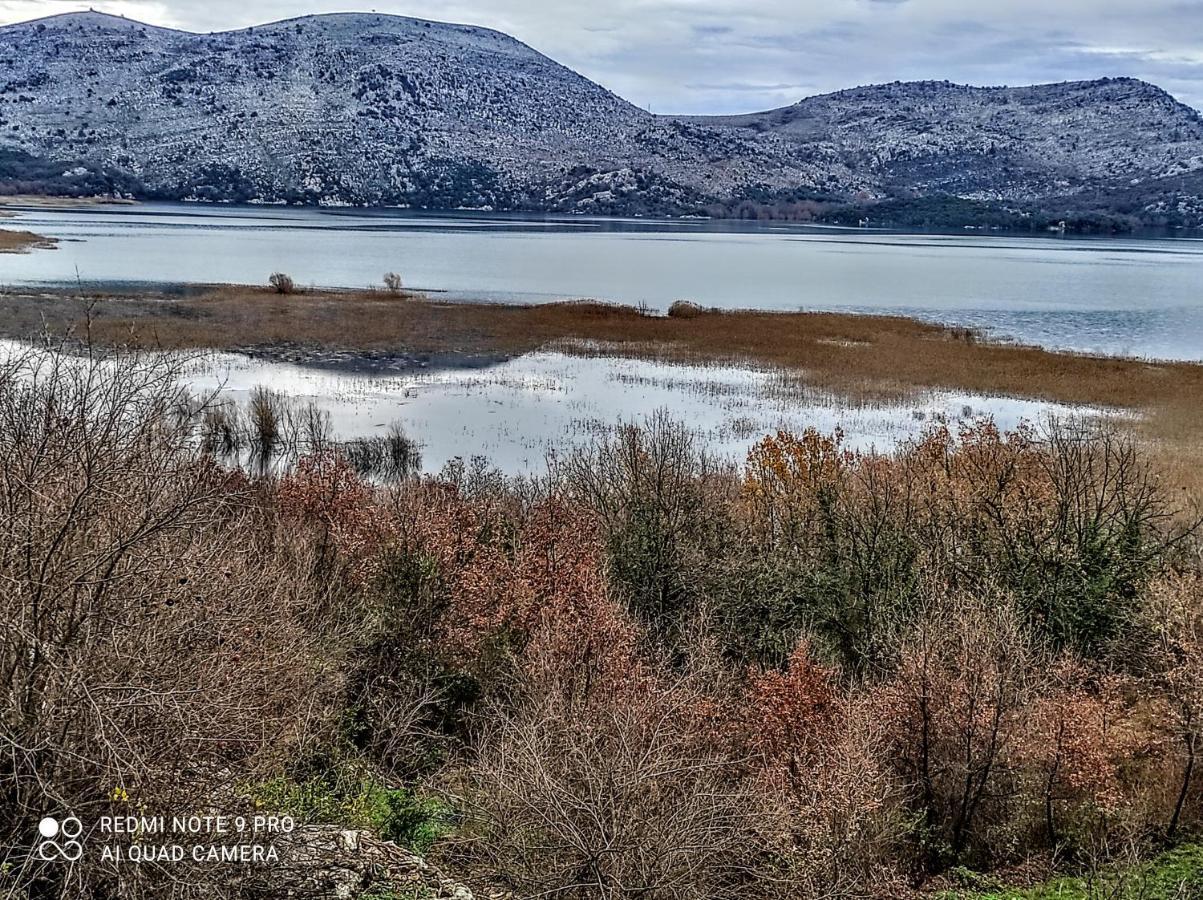 Holiday Home Haustor With Skadar Lake View بودغوريتْسا المظهر الخارجي الصورة