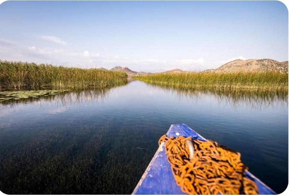 Holiday Home Haustor With Skadar Lake View بودغوريتْسا المظهر الخارجي الصورة